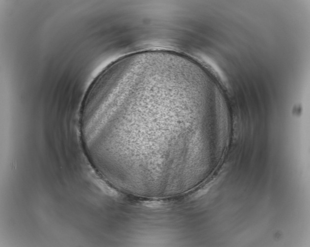 X0000091651182200709060952