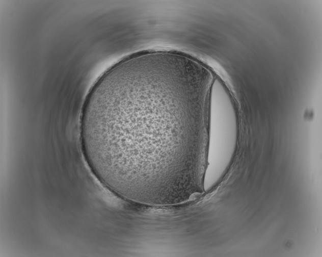 X0000091651183200709060952