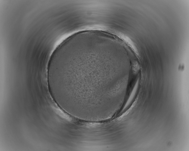 X0000091651184200709060952