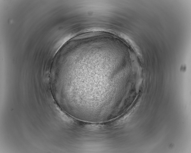 X0000091651185200709060952