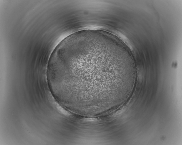 X0000091651186200709060952