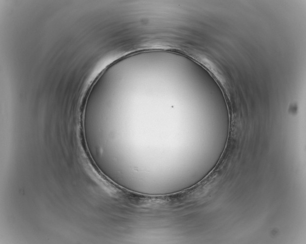 X0000091651187200709060952