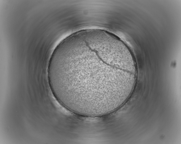 X0000091651189200709060952