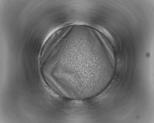 X0000091651190200709060952