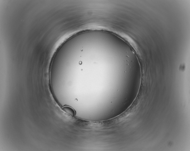 X0000091651191200709060952