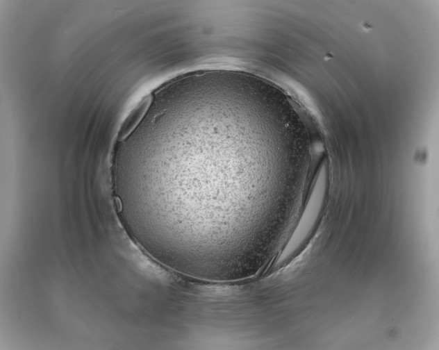 X0000091651192200709060952