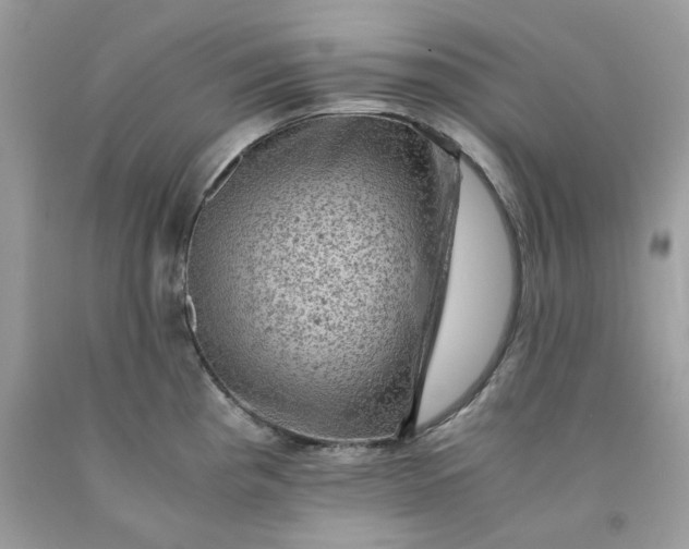 X0000091651193200709060952