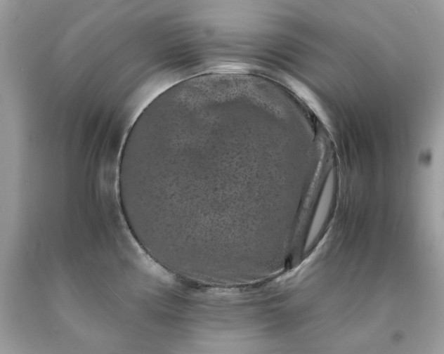 X0000091651194200709060952