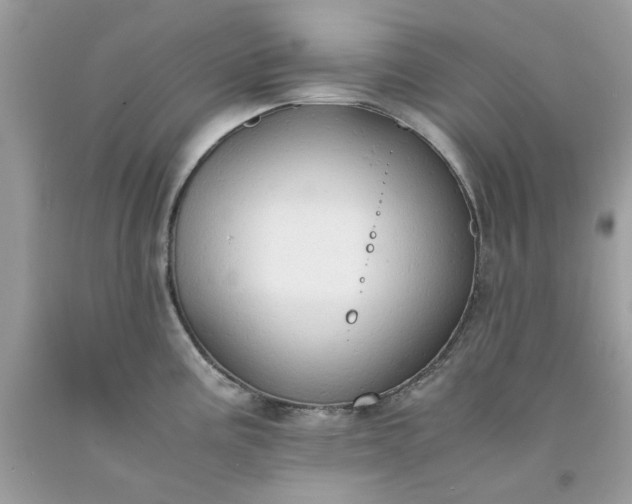 X0000091651195200709060952