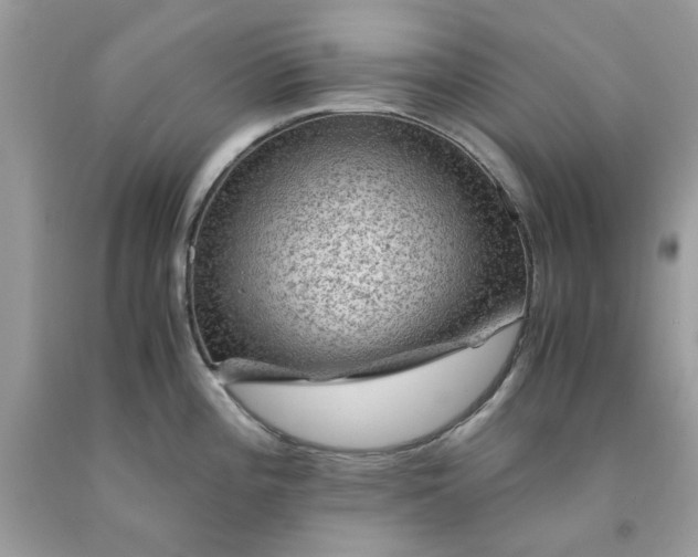 X0000091651196200709060952