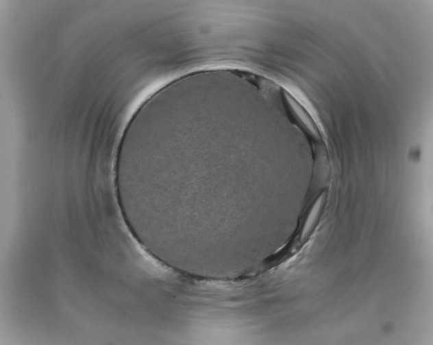 X0000091651197200709060952