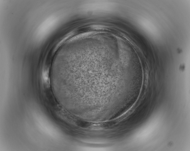 X0000091651198200709060952