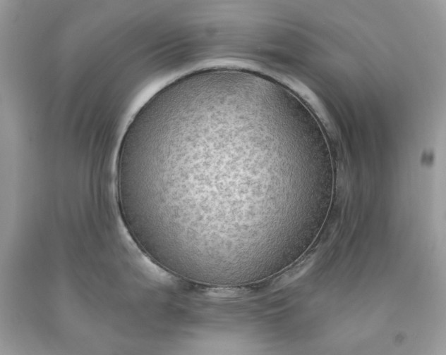 X0000091651199200709060952