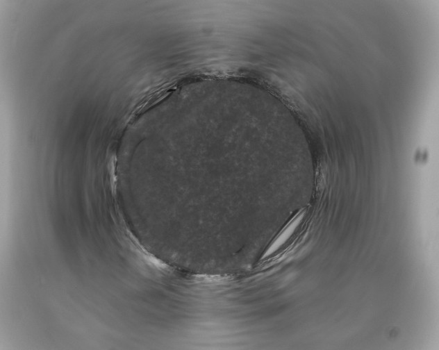 X0000091651202200709060951