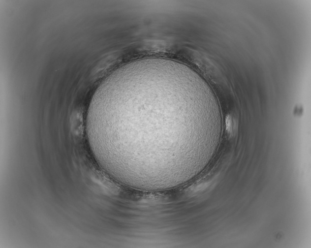 X0000091651203200709060951