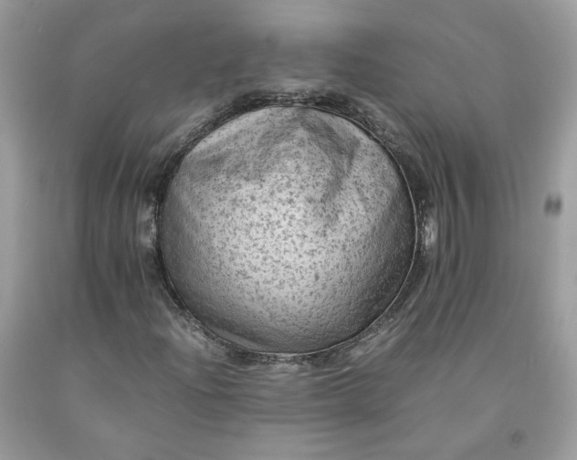 X0000091651204200709060951