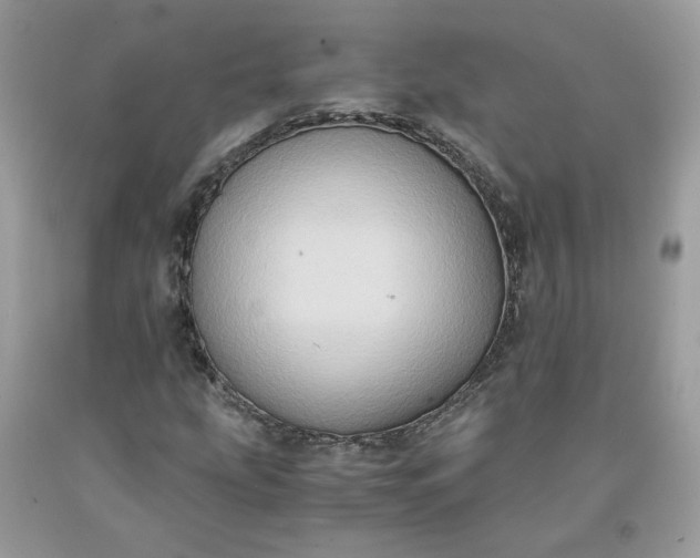 X0000091651207200709060951