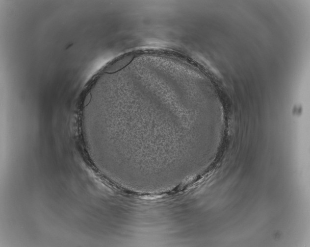 X0000091651208200709060951