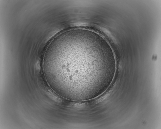 X0000091651209200709060951