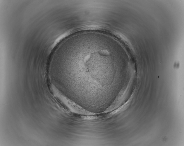 X0000091651210200709060951