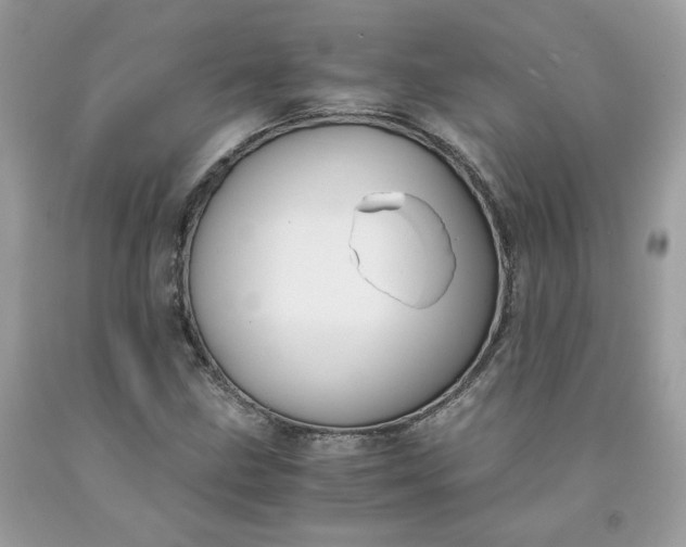 X0000091651211200709060951