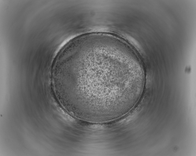 X0000091651212200709060951