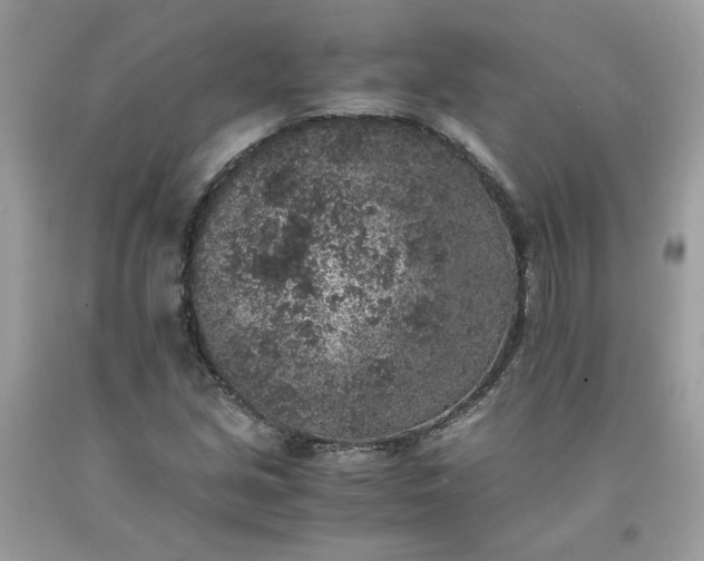 X0000091651213200709060951