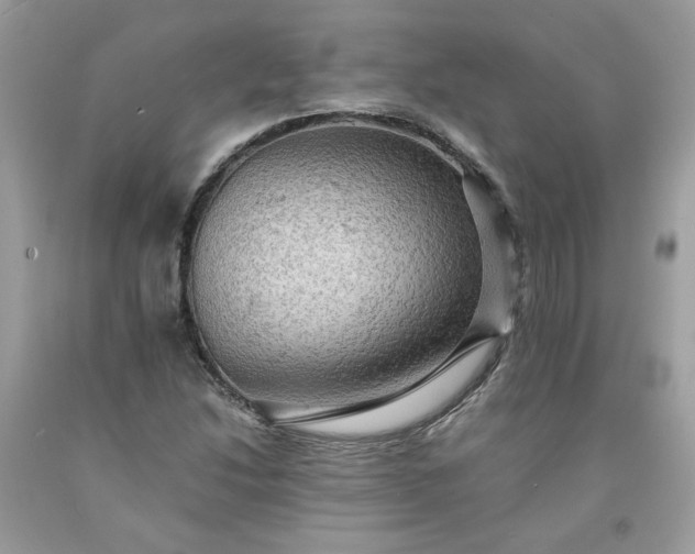 X0000091651214200709060951