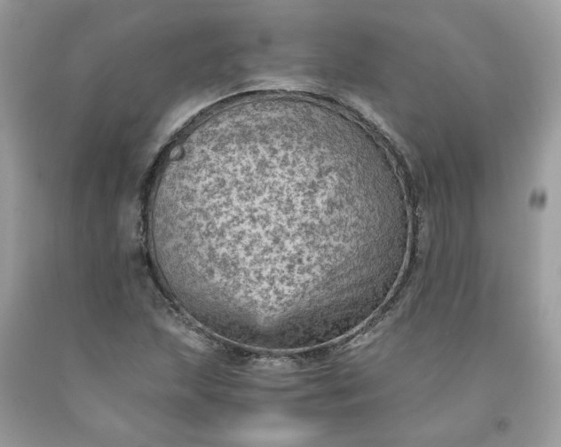 X0000091651215200709060951