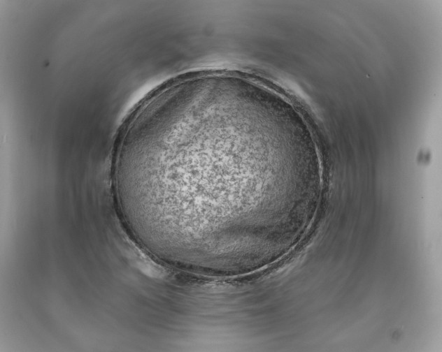 X0000091651216200709060951