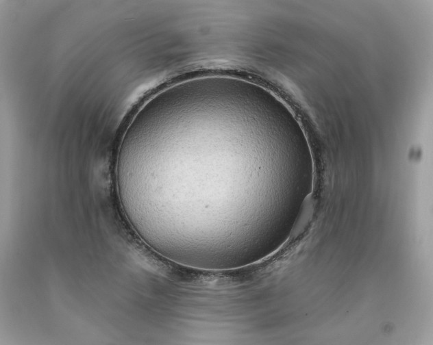 X0000091651218200709060951