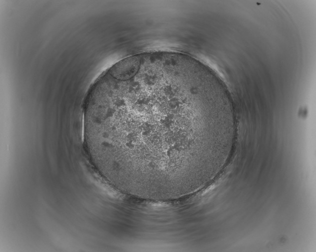 X0000091651219200709060951