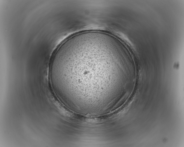 X0000091651220200709060951