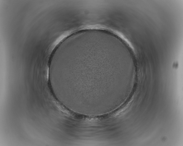 X0000091651221200709060951