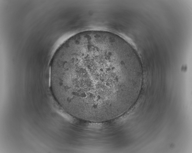 X0000091651223200709060951