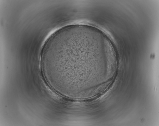 X0000091651224200709060952