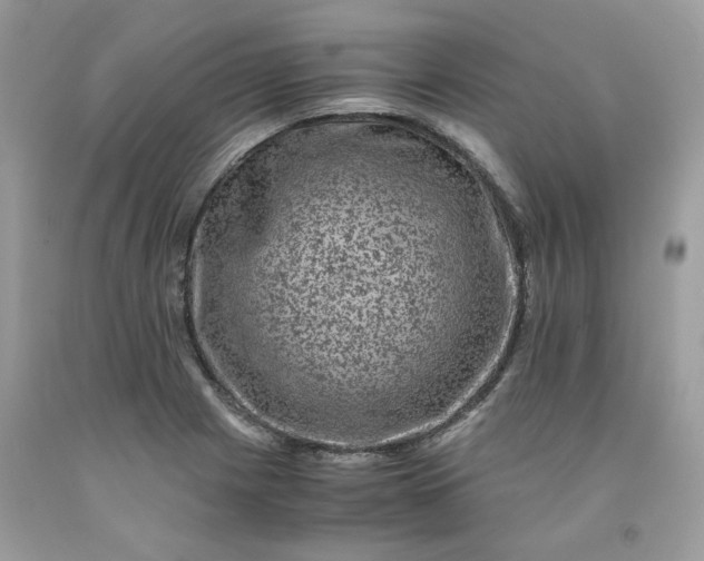 X0000091651225200709060952