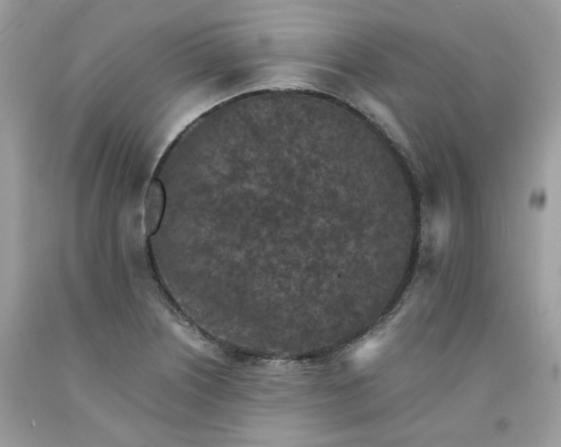 X0000091651226200709060952