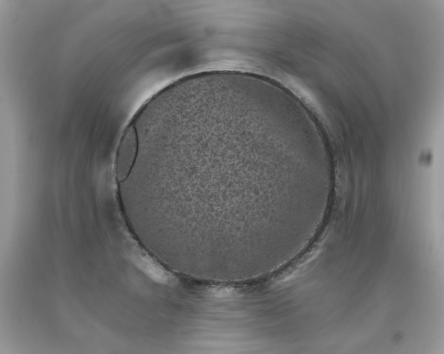 X0000091651230200709060952