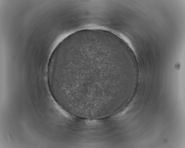 X0000091651231200709060952