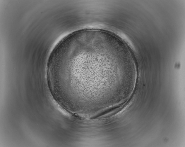 X0000091651232200709060952