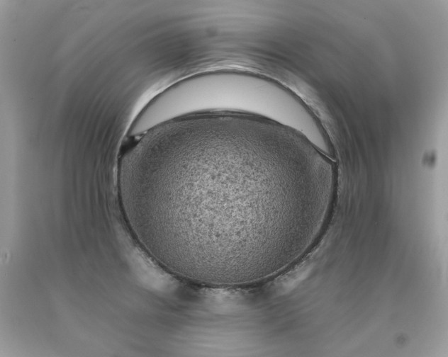 X0000091651234200709060952