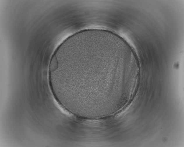 X0000091651237200709060952