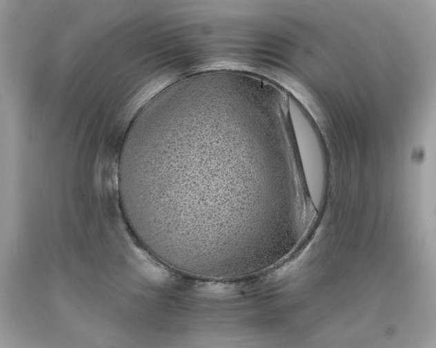 X0000091651241200709060952