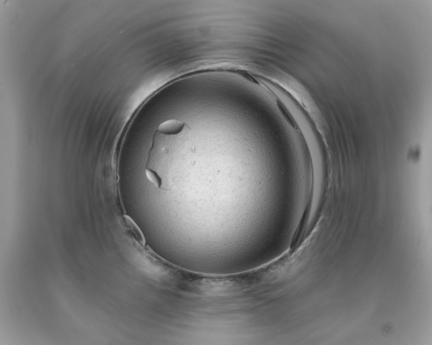 X0000091651242200709060952