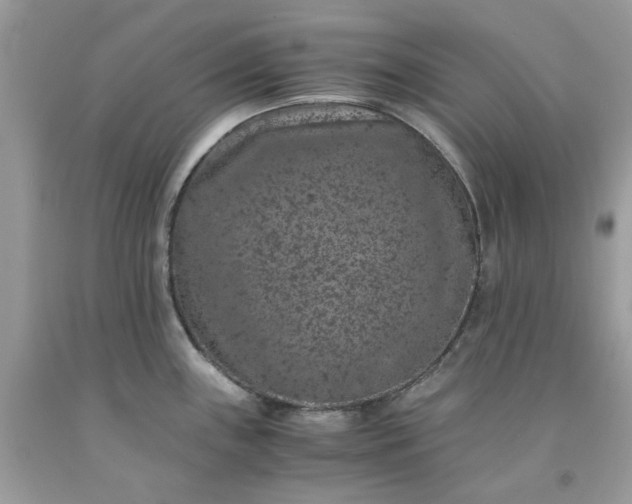 X0000091651243200709060952