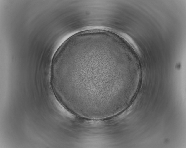 X0000091651244200709060952