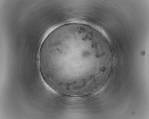 X0000091651247200709060952