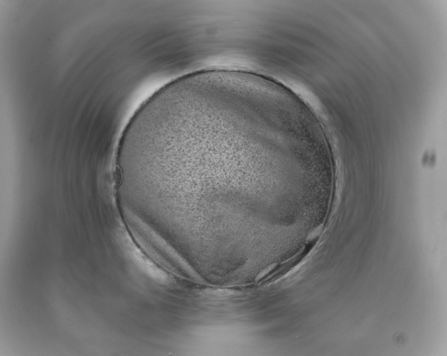 X0000091651248200709060952