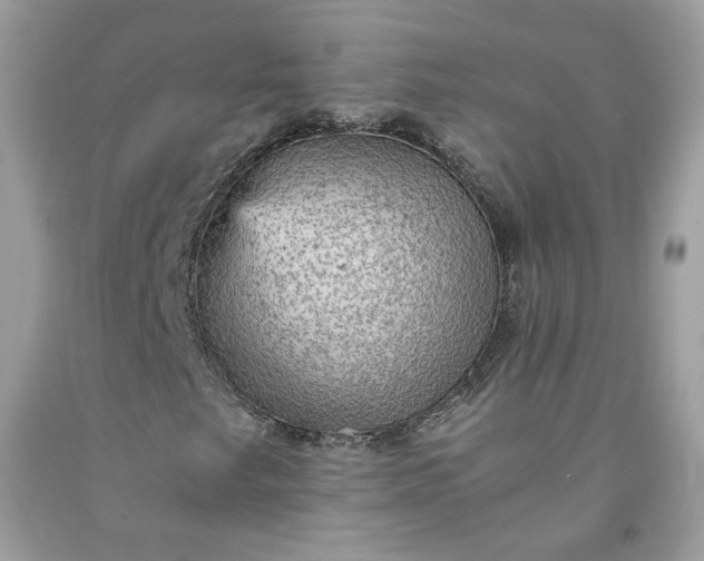 X0000091651249200709060951